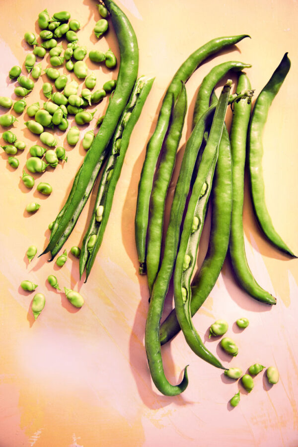 Green Beans / Broad Beans